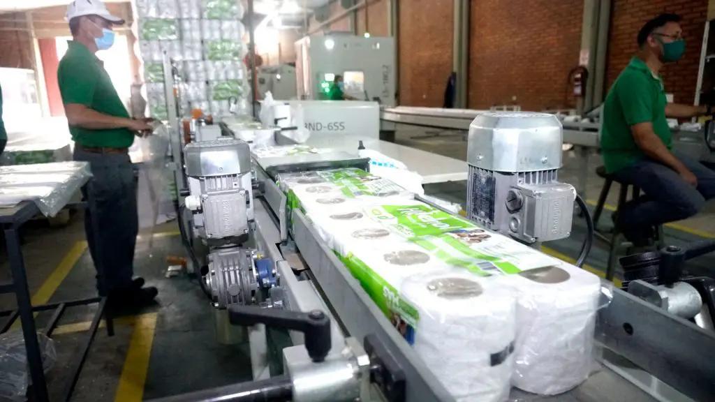 Toilet Paper Plant Image 2