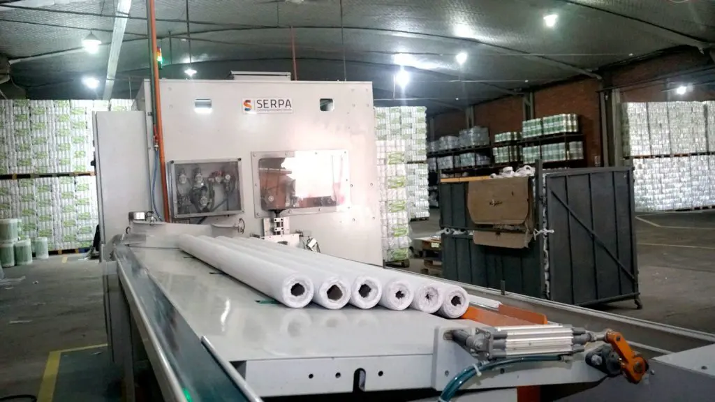Toilet Paper Plant Image 3