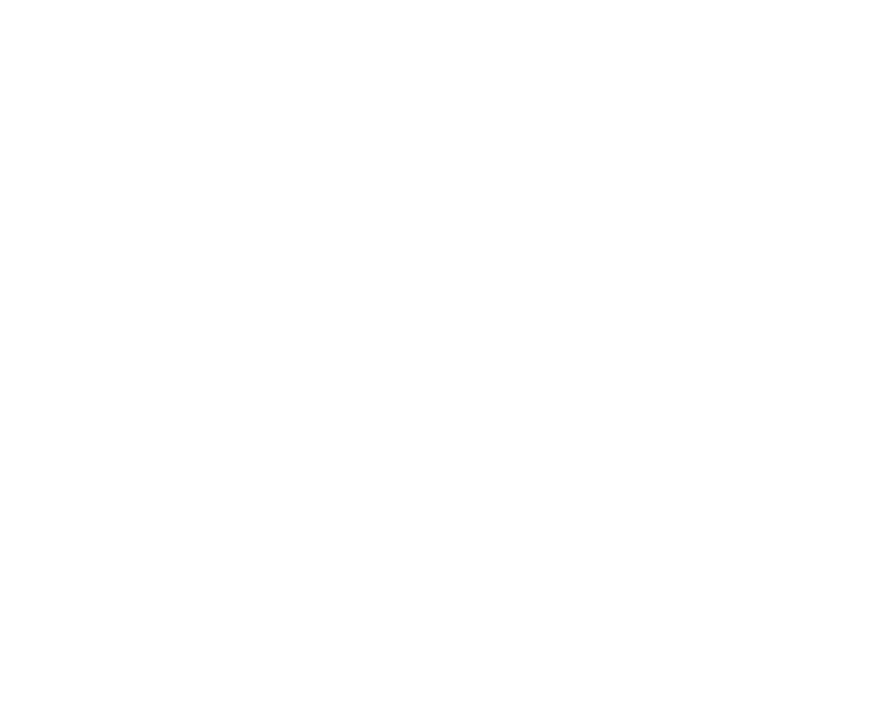 RDE Logo Completo