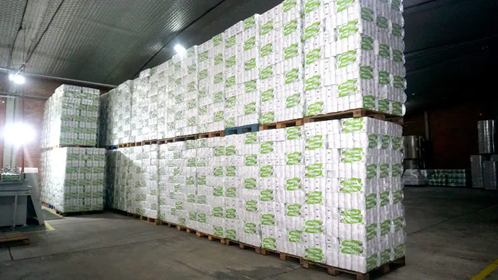 Toilet Paper Plant - 1