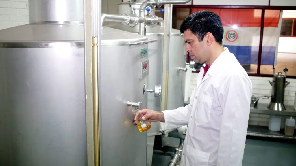 Wine Production Plant - 2