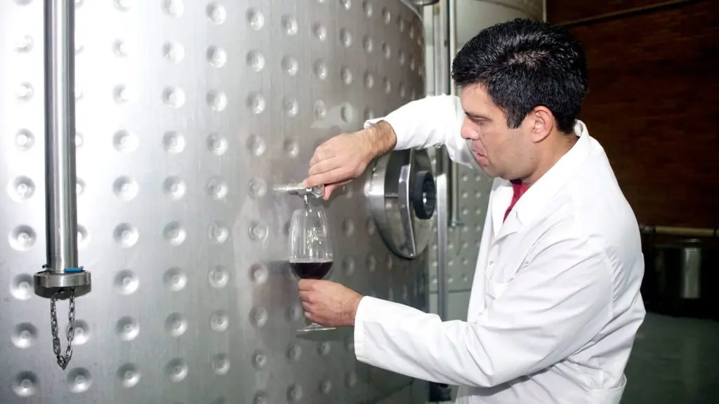 Wine Production Plant - 3
